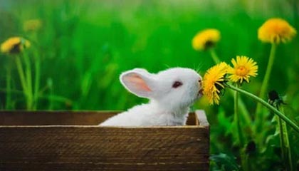 开云体育登入-【投手心理战】如何在比赛中保持冷静应对长局压力？，怎样在比赛中调整心态