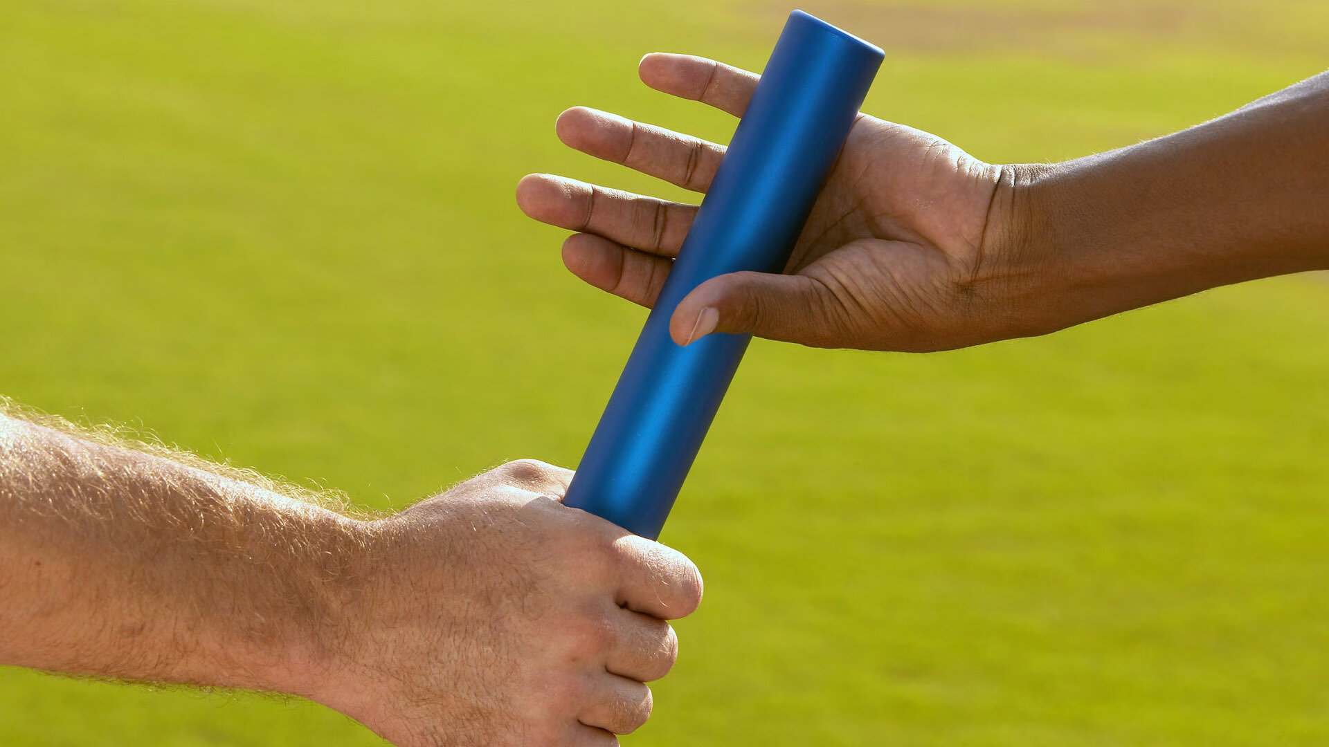 2026世界杯场馆采用可再生能源，绿色环保理念凸显，世界杯申办2026